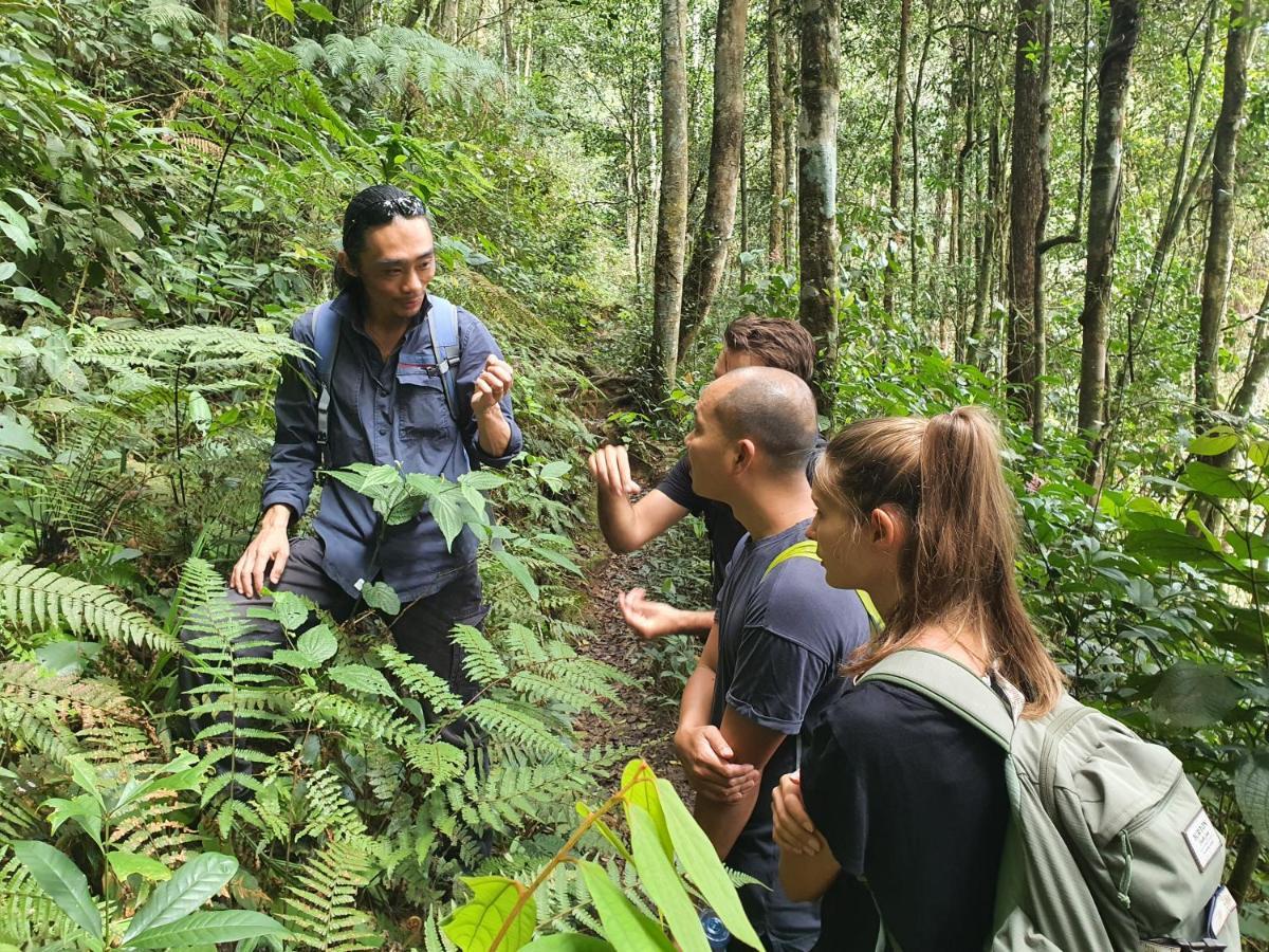 Fathers Cameron Highlands